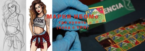 амф Аркадак