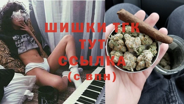 амф Аркадак
